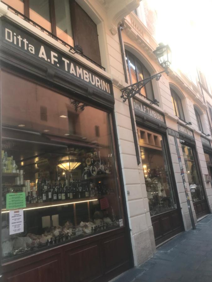 Moonlight Centro Bologna酒店 外观 照片